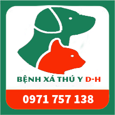 logo BỆNH XÁ THÚ Y D-H